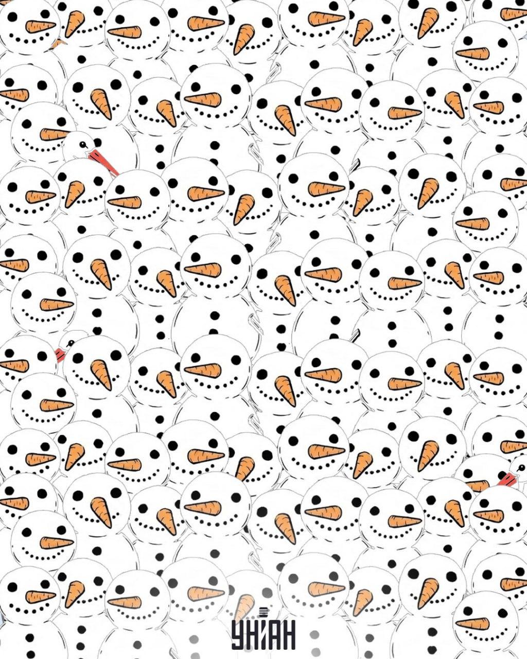 11 saniyede kardan adamların arasında 3 leylek bulmanız gerekiyor: inanılmaz bir optik yanılsama