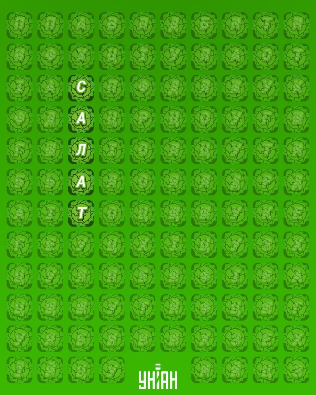 İnsanların %98'i 'salata' kelimesini 12 saniyede bulamıyor: çok zor bir bulmaca