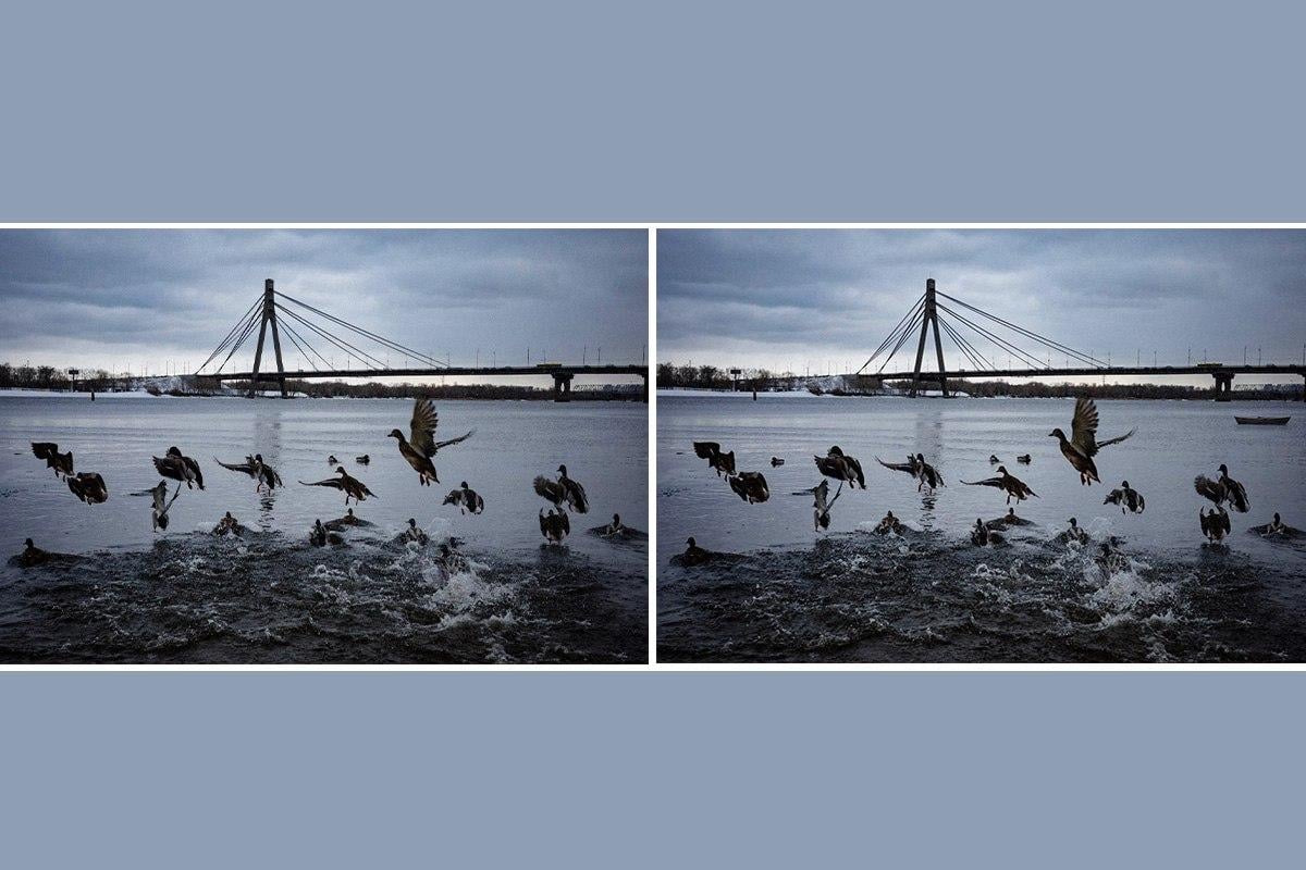 Kolaj Moje, fotoğraf Moje, Vyacheslav Ratinsky