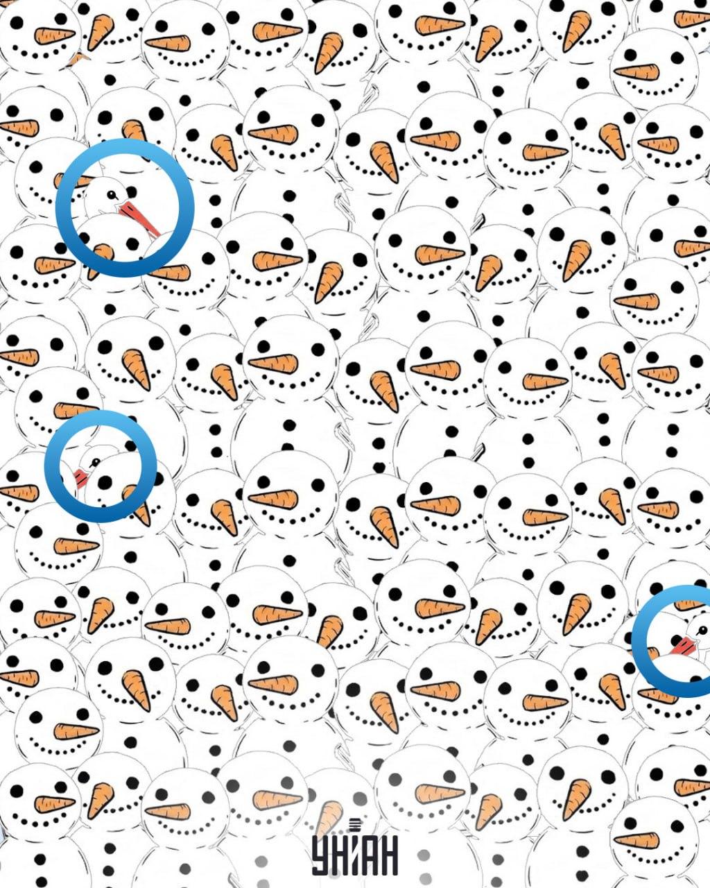 11 saniyede kardan adamların arasında 3 leylek bulmanız gerekiyor: inanılmaz bir optik yanılsama