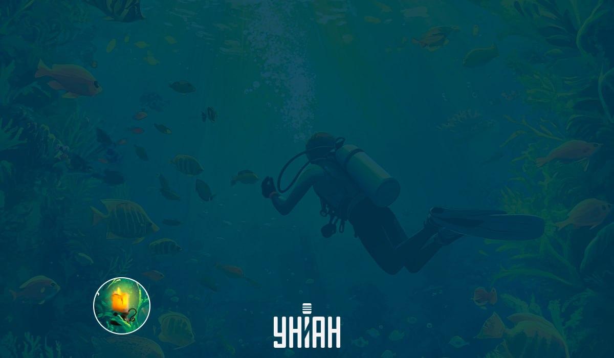 Bir resim / resim Moje kullanarak IQ testi