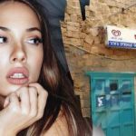 Sadece bir dahi sokakta bir köpeği 7 saniyede bulabilir: karmaşık